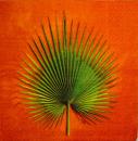 037 Plants - 3 ply (orange)